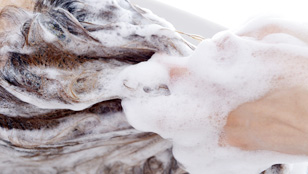 スタッフおすすめ商品